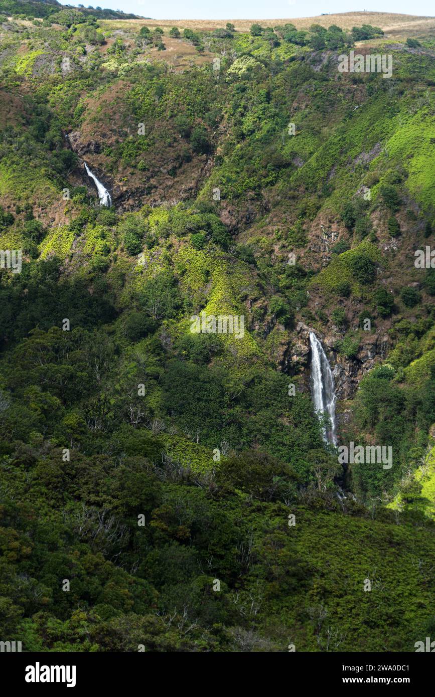 Le cascate adornano il Waihe'e Ridge Trail sulle colline verdeggianti di Maui. Foto Stock