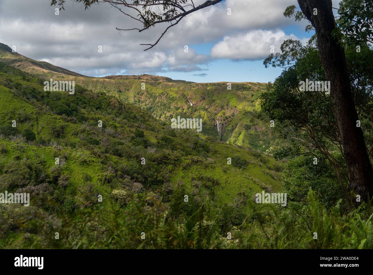 Il sentiero Waihe'e Ridge svela le cascate tra i lussureggianti paesaggi di Maui. Foto Stock