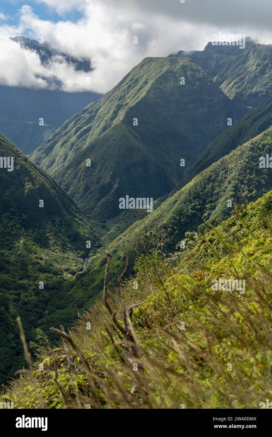 Panorami verdeggianti lungo il Waihe'e Ridge Trail, invitando gli escursionisti di Maui a esplorare. Foto Stock