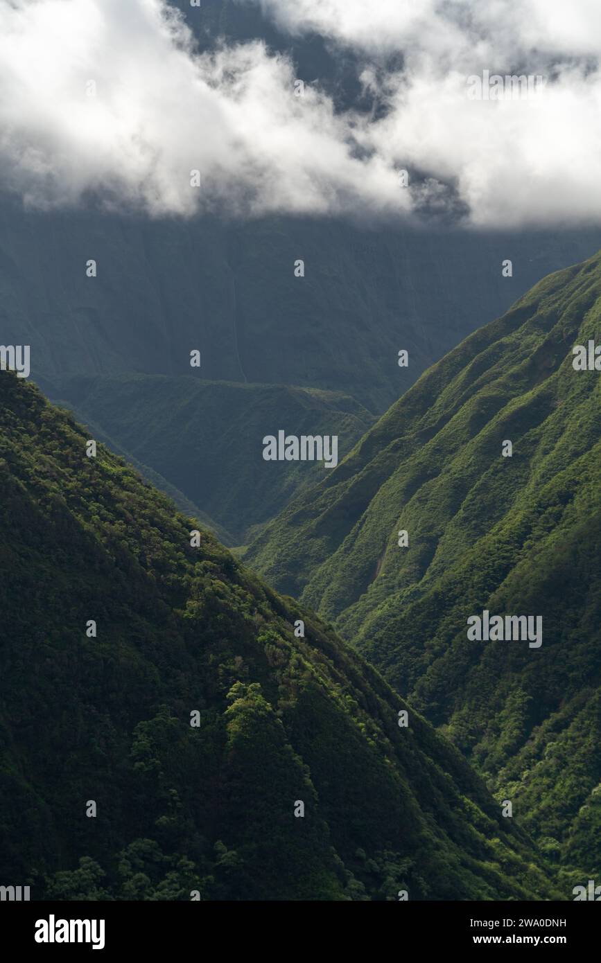 Panorami verdeggianti lungo il Waihe'e Ridge Trail, invitando gli escursionisti di Maui a esplorare. Foto Stock