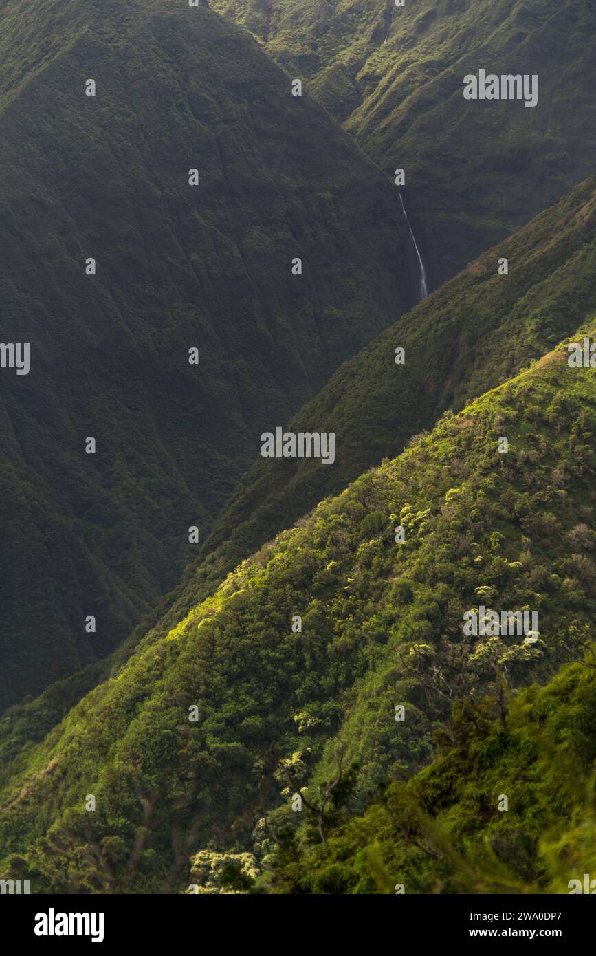 Cascata nascosta tra le pieghe lussureggianti del Waihe'e Ridge Trail di Maui. Foto Stock