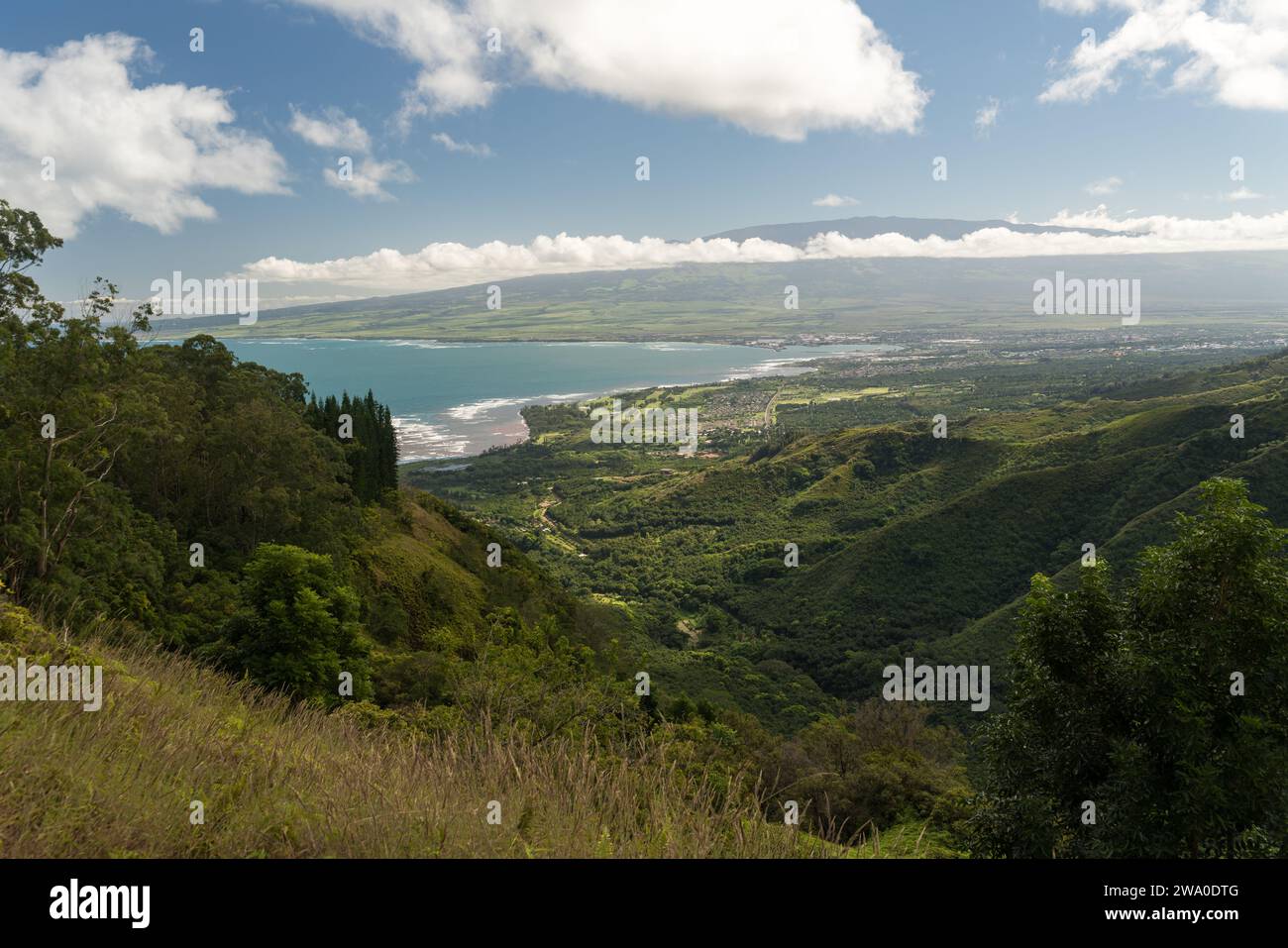 Ampie vedute dal Waihe'e Ridge, affacciate sulla costa e sulla valle di Maui. Foto Stock