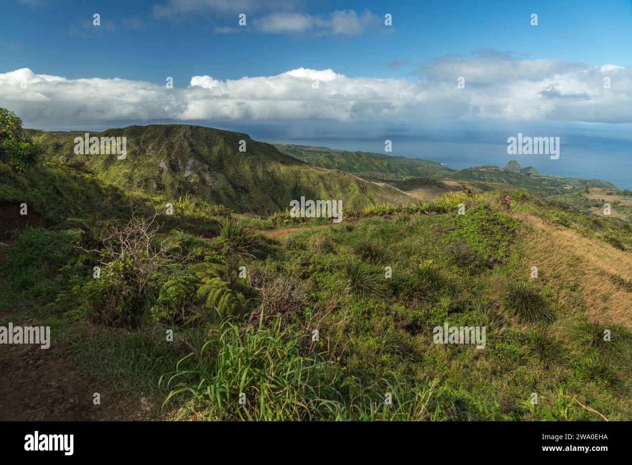 Il Waihe'e Ridge Trail offre vedute mozzafiato delle verdi montagne di Maui e del vasto Pacifico. Foto Stock