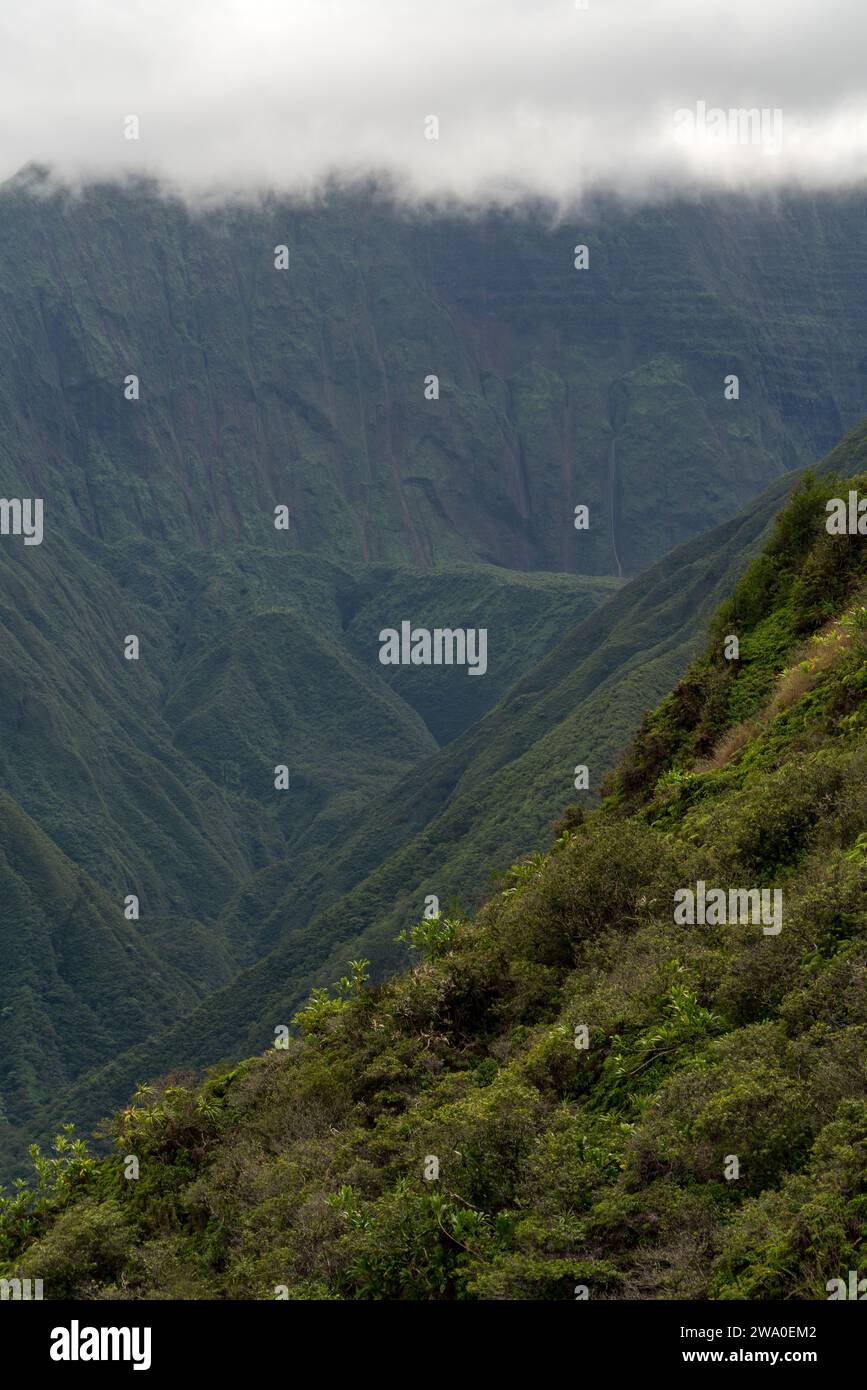Le montagne avvolte dalla nebbia si innalzano sopra la dorsale di Waihe'e, una testimonianza del suggestivo paesaggio di Maui. Foto Stock