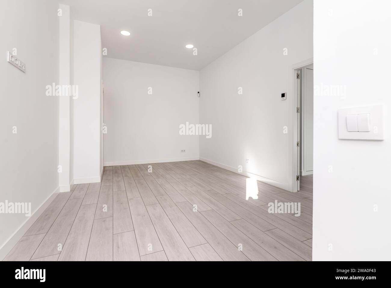 Una camera vuota in una casa tipo loft al piano terra con pavimenti in legno chiaro e porte di accesso ad altre camere Foto Stock