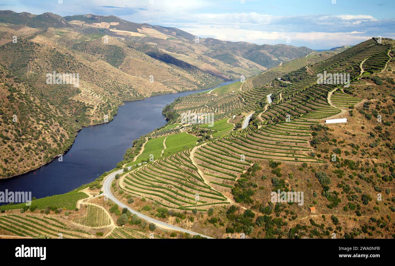 Regione vinicola dell'alto Douro, foto panoramica dal punto di osservazione vicino a Vila Nova de Foz COA, nel distretto di Guarda, Portogallo Foto Stock