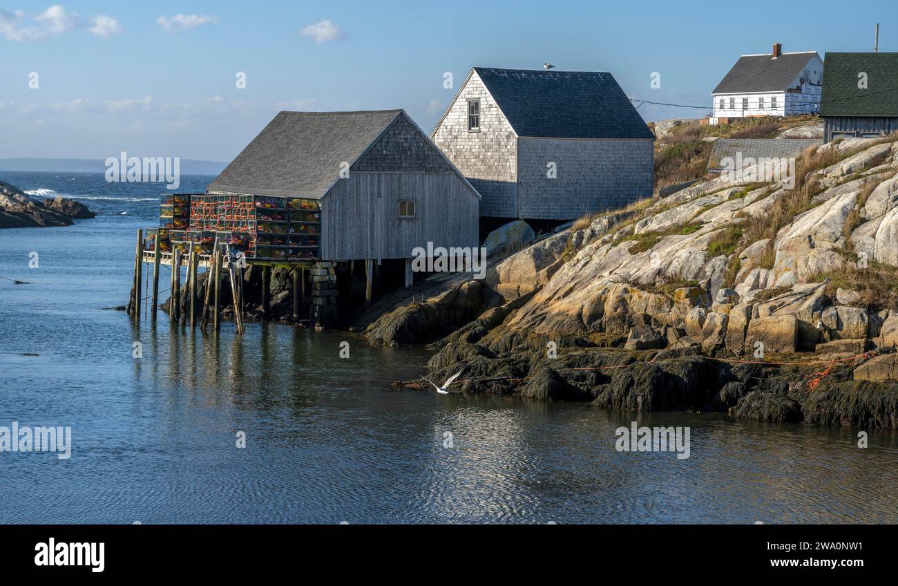 Capanna da pesca Peggys Cove con casse di aragosta Canada Foto Stock