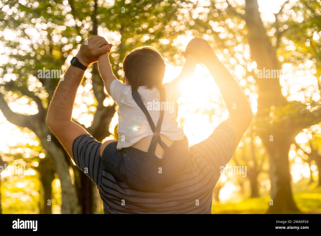 Famiglia felice in una foresta in autunno. Bambino sulla schiena del padre, natura sotto i raggi del tramonto Foto Stock