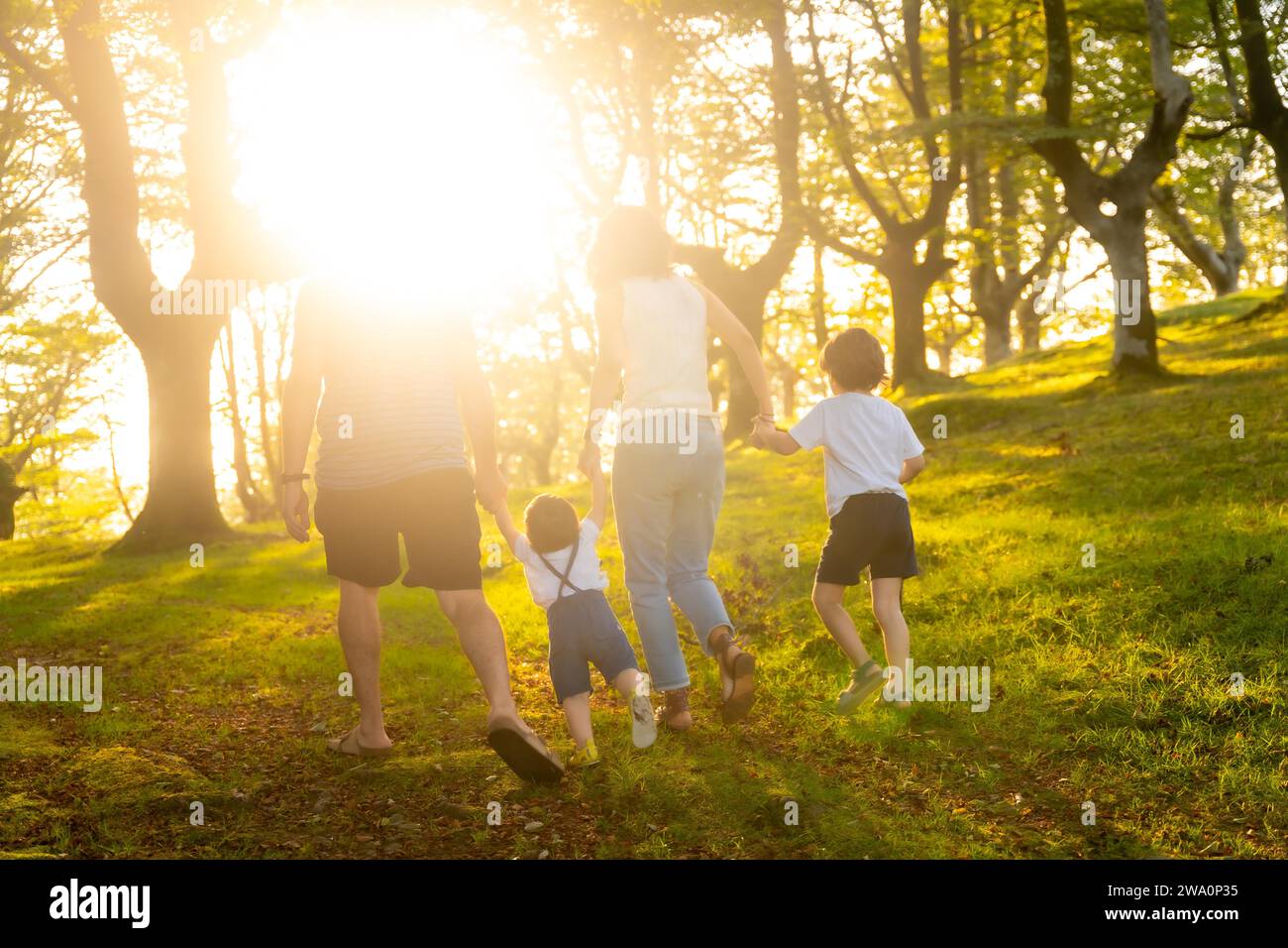 Famiglia felice in una foresta in autunno. I dadi a mano nella natura sotto i raggi del tramonto Foto Stock