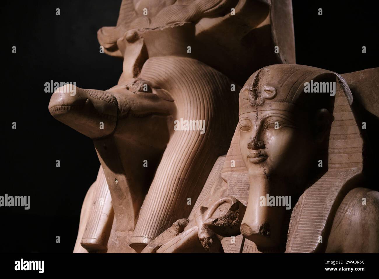 Luxor, Egitto - 2 gennaio 2024: Il coccodrillo a capo della divinità Sobek e Amenofi III nel Museo di Luxor Foto Stock