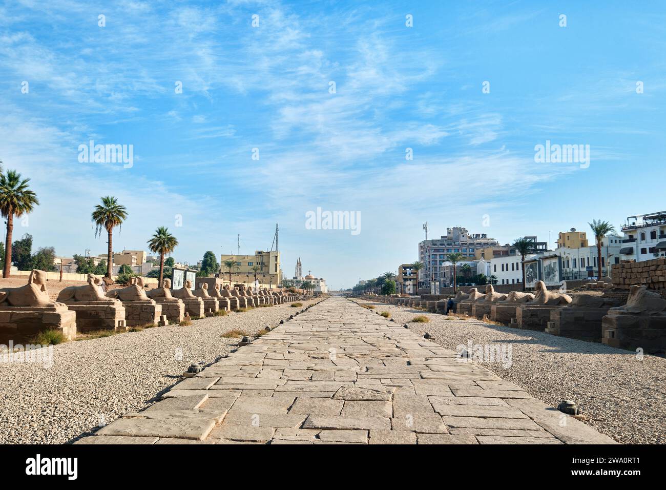 Luxor, Egitto - dicembre 26 2023: Vista sul viale delle Sfingi dal Tempio di Luxor Foto Stock