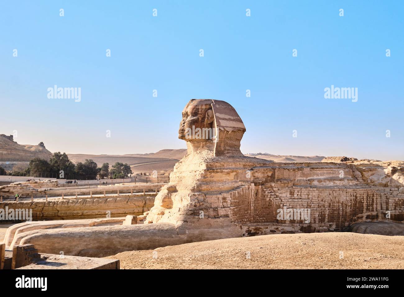 Giza, Egitto - 24 dicembre 2023: L'iconica scultura della Sfinge adiacente alle grandi Piramidi Foto Stock