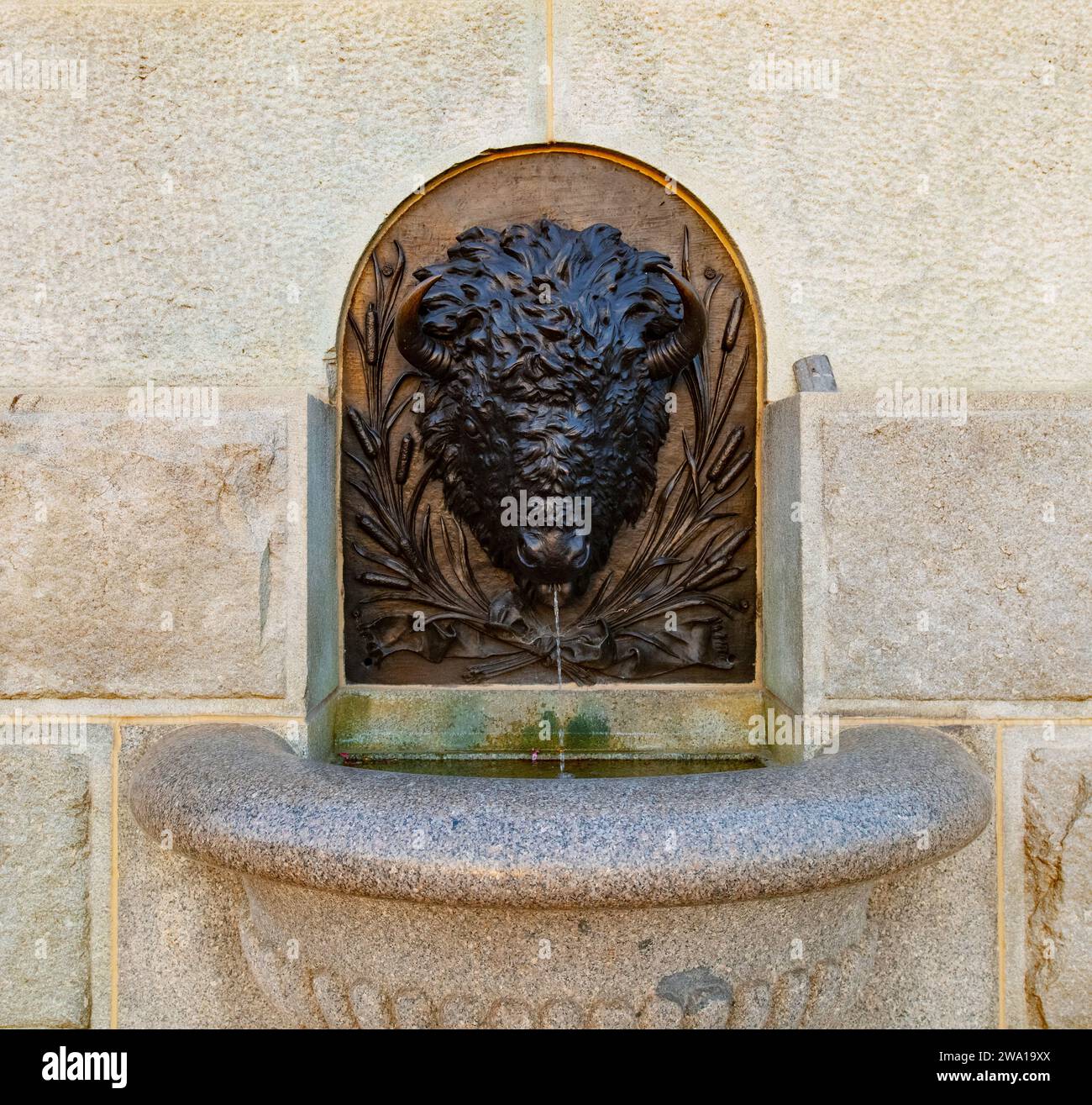 Buffalo Head Fountain presso il Campidoglio dello Stato dell'Iowa a Des Moines di Karl Gerhardt Foto Stock