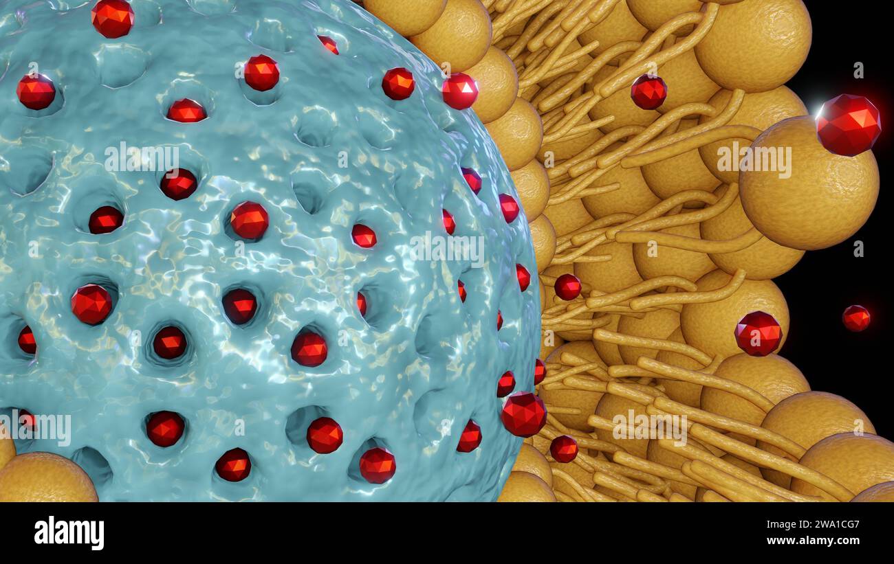 Rivestimento bilayer lipidico per nanoparticelle di silice mesoporosa come supporto o erogazione di nanodtappeti. Rilascio di nanomedicina dal rendering 3d incapsulato con nanocarrier Foto Stock