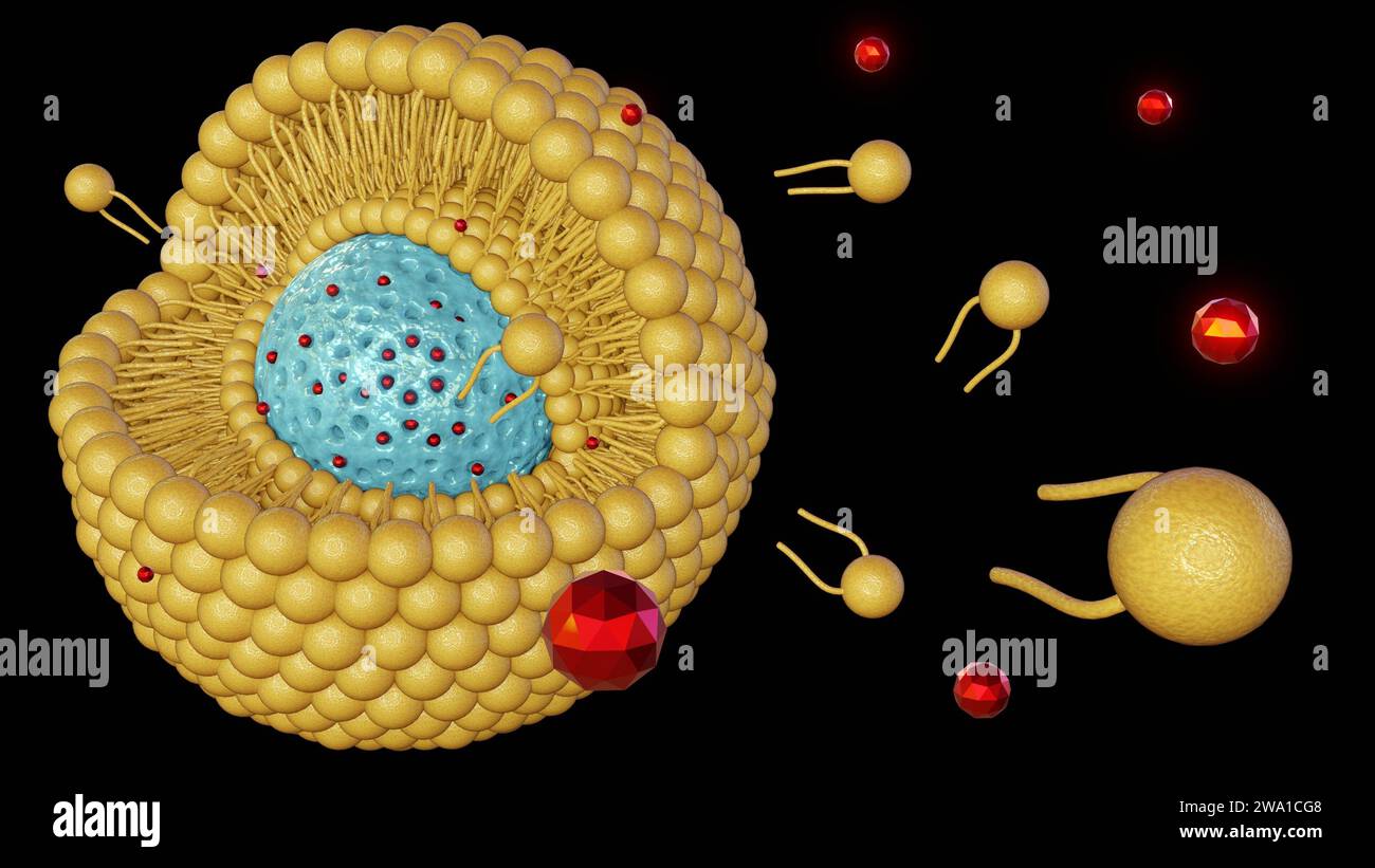 Rivestimento bilayer lipidico per nanoparticelle di silice mesoporosa come supporto o erogazione di nanodtappeti. Rilascio di nanomedicina dal rendering 3d incapsulato con nanocarrier Foto Stock