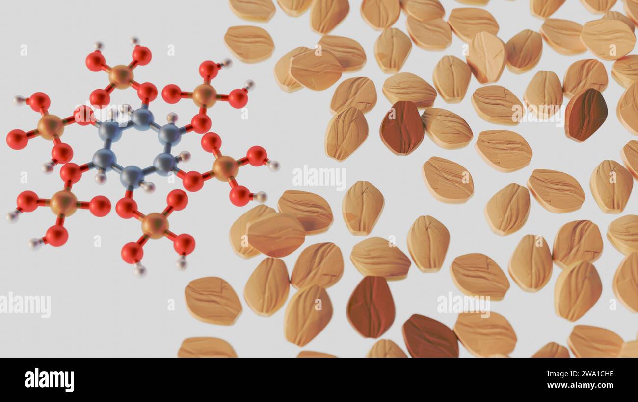 Rendering 3d del fitato, noto anche come acido fitico, si trova nei semi, nelle noci, nei legumi e nei cereali interi non trattati Foto Stock