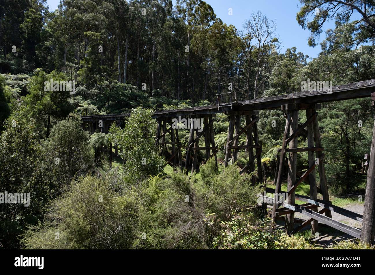 Vecchio ponte in legno Monbulk, iconico Puffing Billy-Railway Trestle Bridge costruito nel 1889, situato nelle Dandenong Ranges vicino a Melbourne, Victoria, Australia Foto Stock