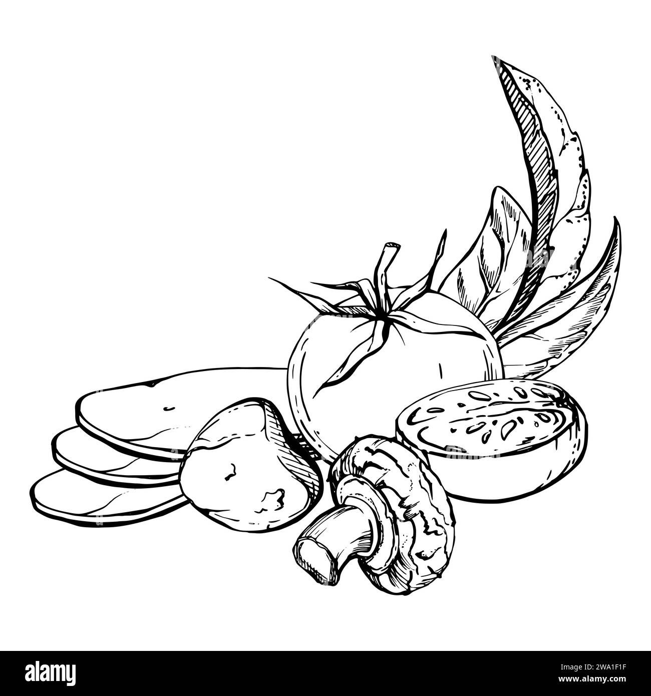 Illustrazione a inchiostro vettoriale disegnata a mano. Champignon di pomodoro mozzarella basilico foglie di erbe aromatiche farina di prodotti freschi. Composizione isolata su bianco Illustrazione Vettoriale