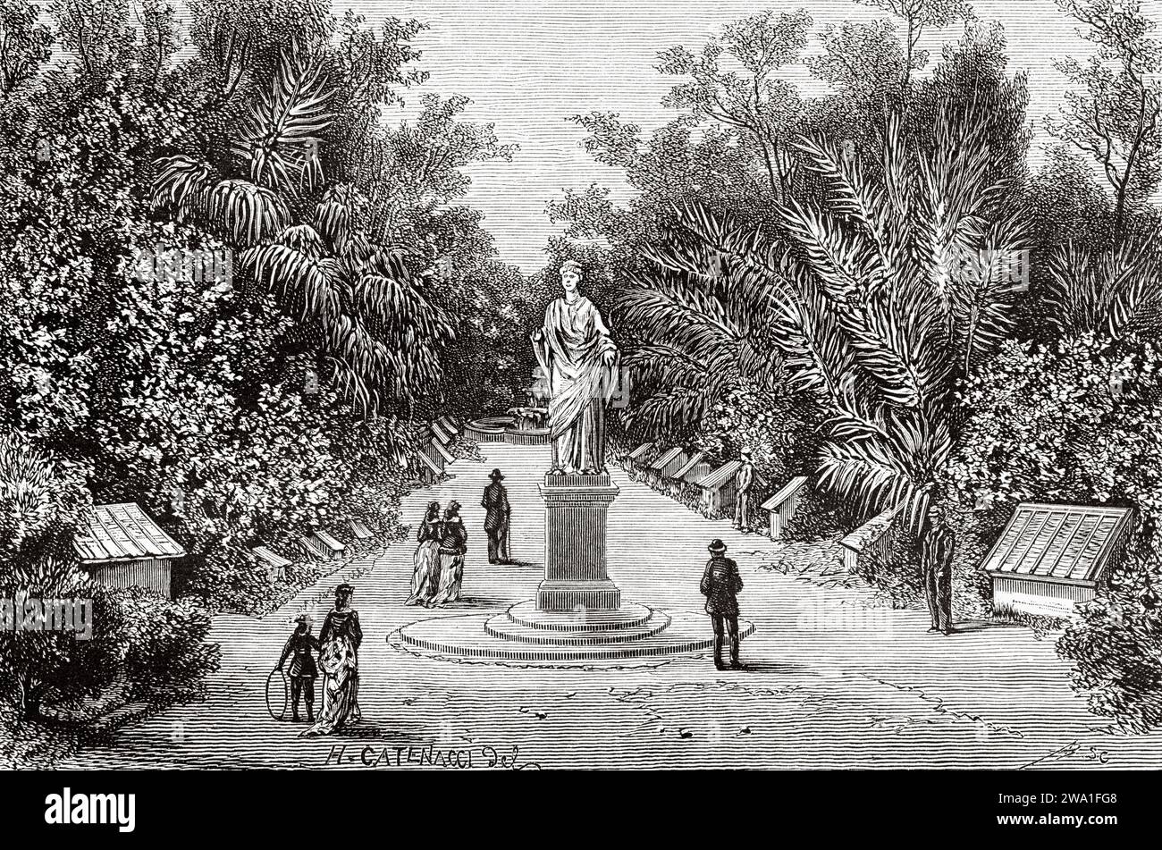 Giardini botanici, Adelaide, Australia meridionale. Sei mesi in Australia 1878 da Desire Charnay (1828 - 1915) incisione del vecchio XIX secolo da le Tour du Monde 1880 Foto Stock