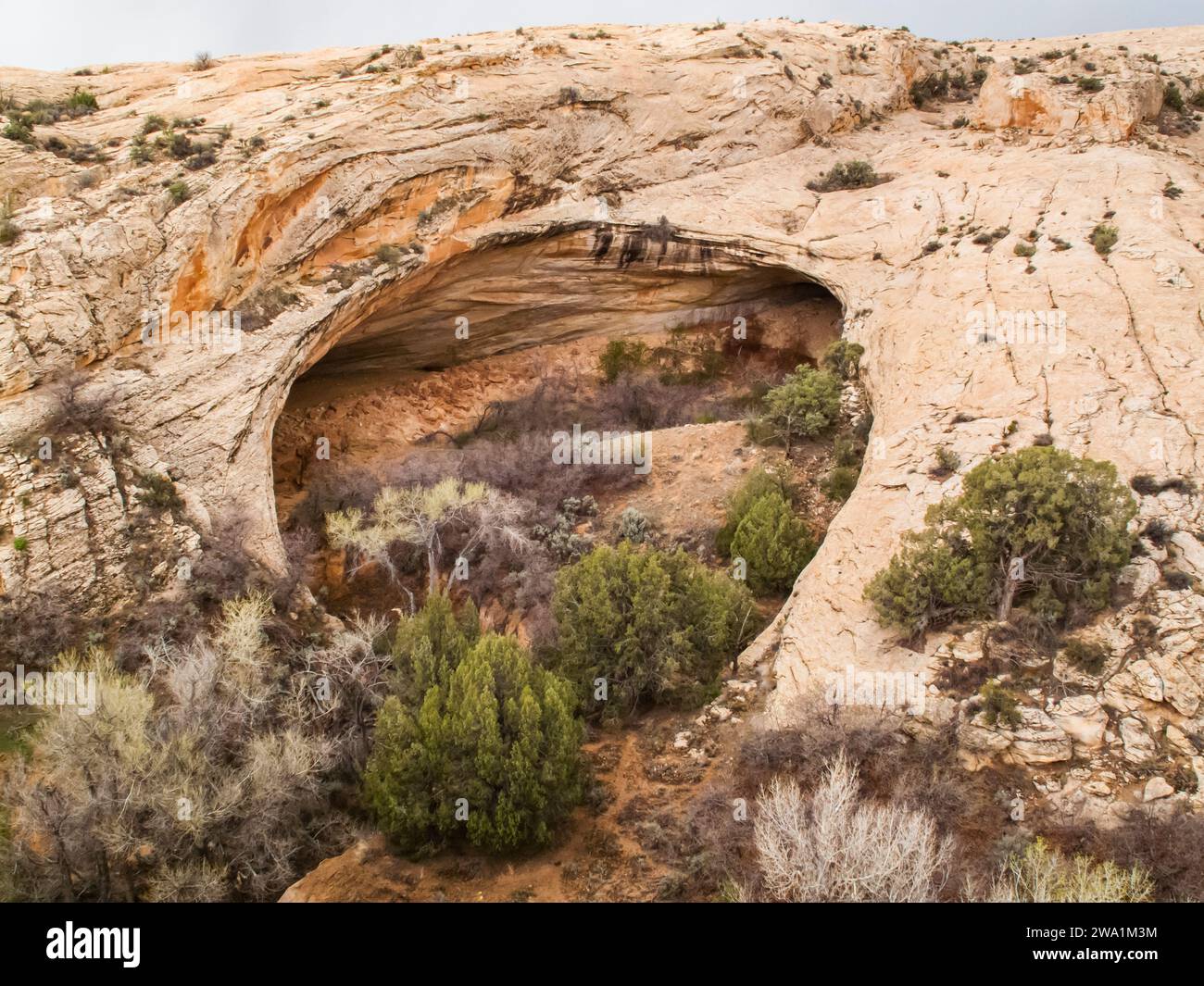 Comb Ridge, Bears Ears National Monument, Utah, Stati Uniti Foto Stock