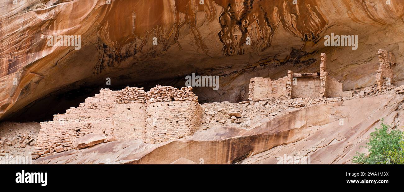 Antiche rovine nella roccia, comb Ridge, Bears Ears National Monument, Utah, USA Foto Stock