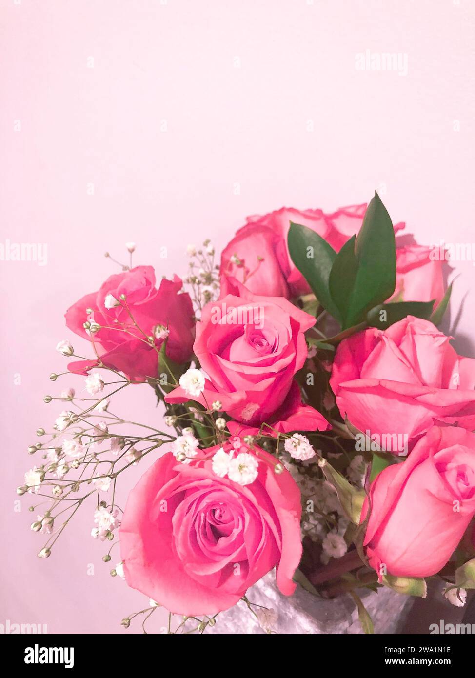 Rose rosa con sfondo rosa, spazio per la copia Foto Stock