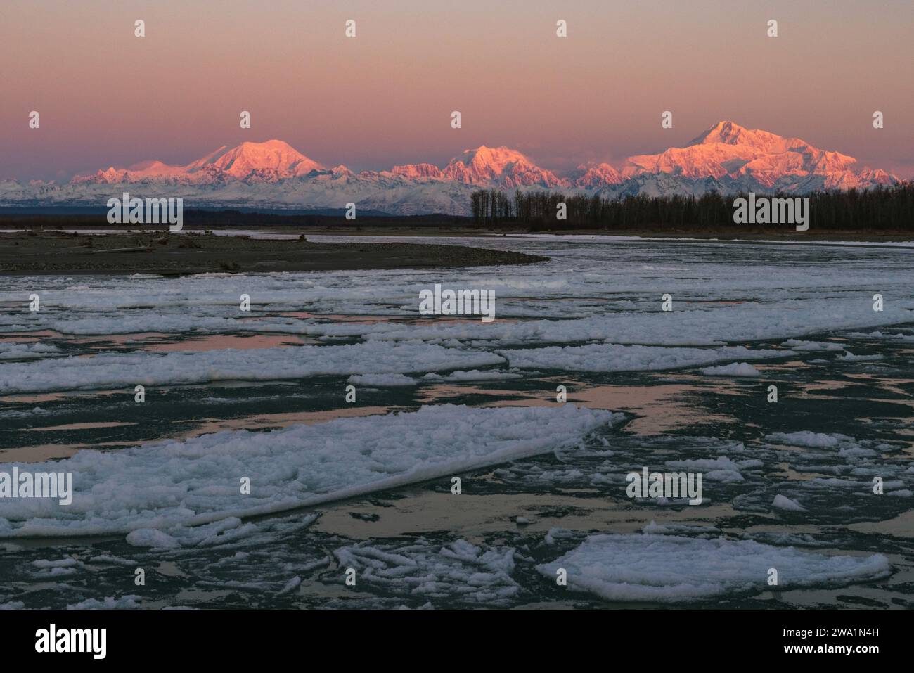 Alpenglow illumina l'Alaska Range con Denali all'alba Foto Stock