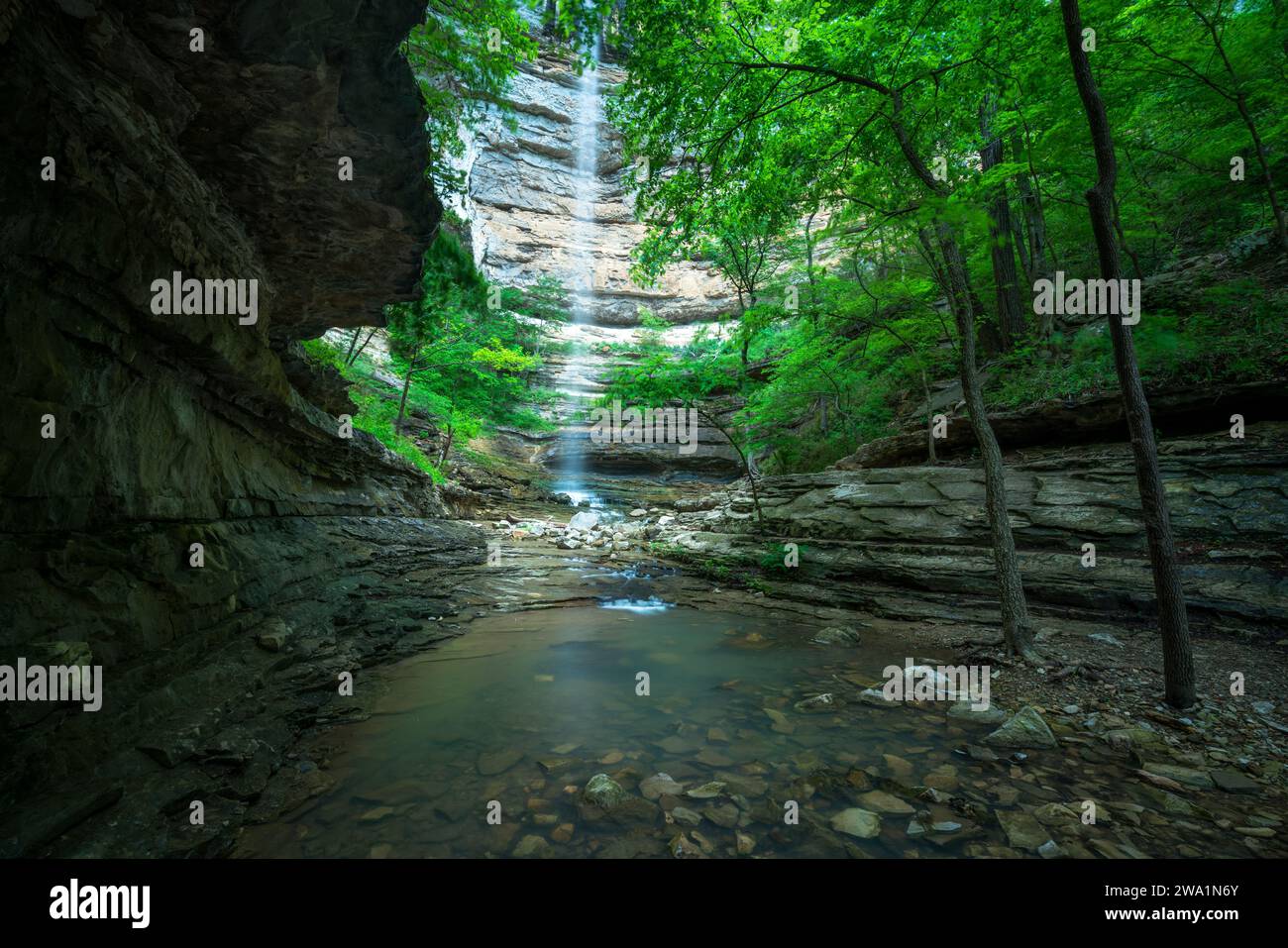 Orlato a Hollow Falls in Arkansas Foto Stock