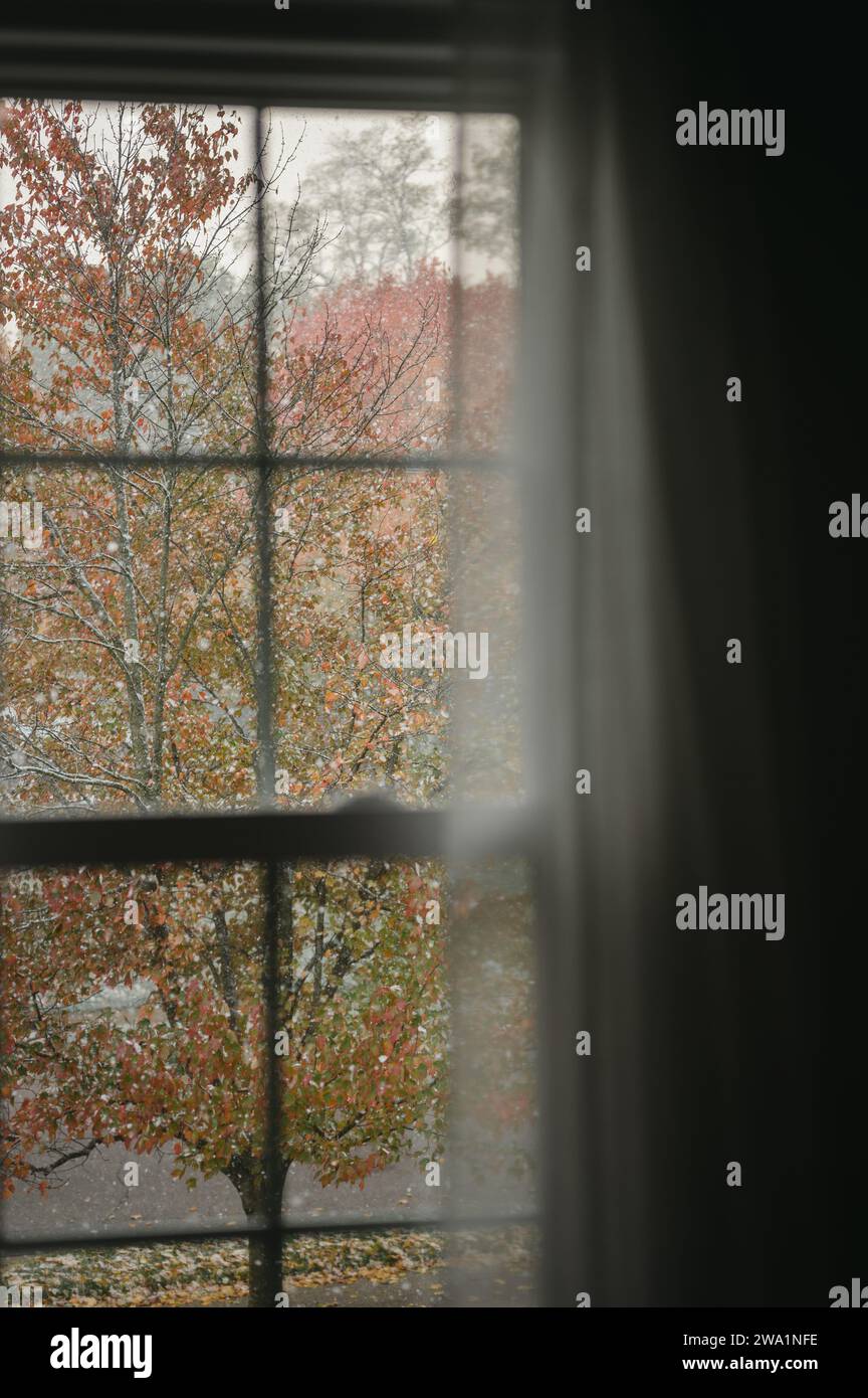 Vista da una finestra di neve che cade all'esterno su uno sfondo autunnale Foto Stock