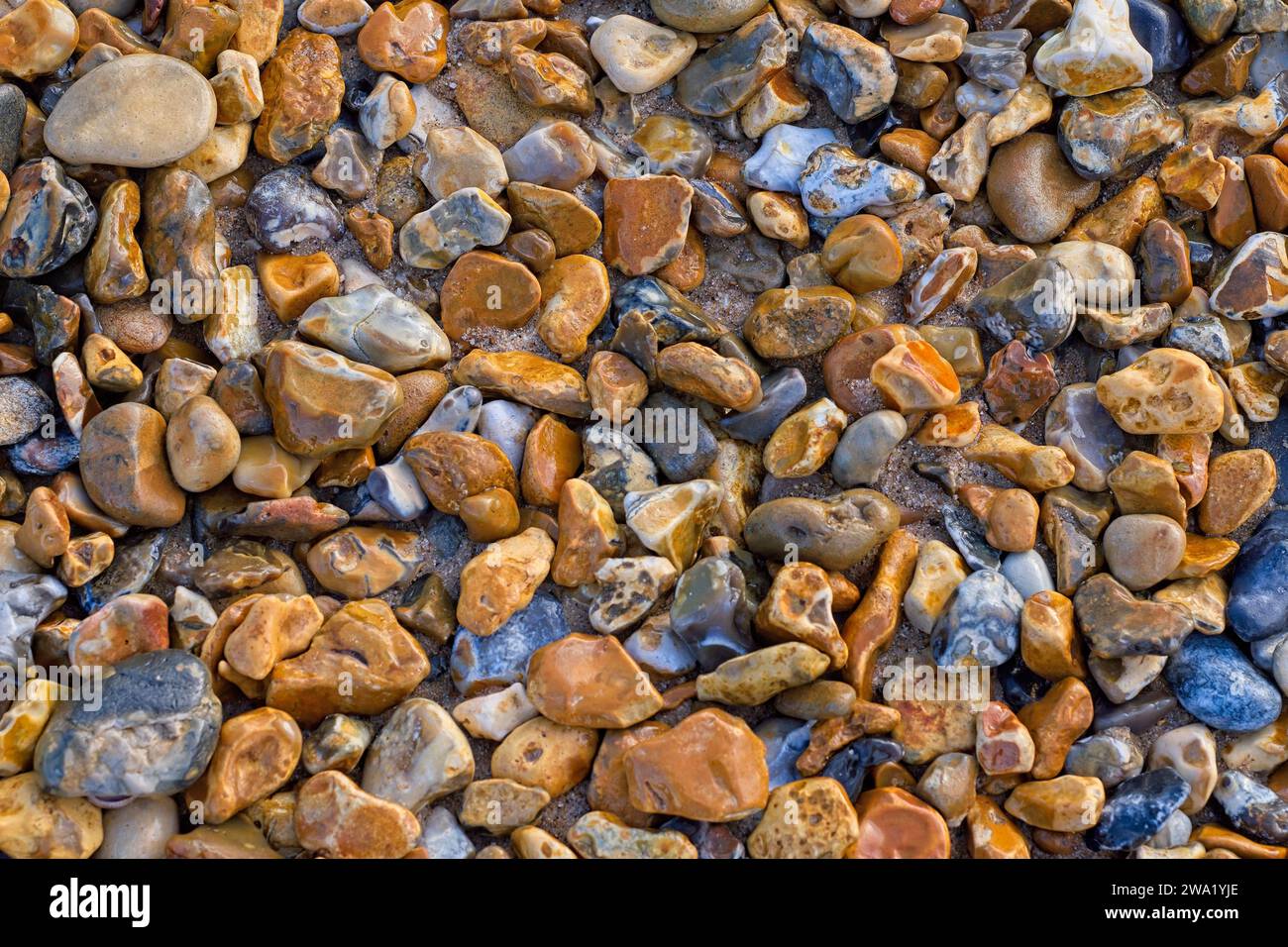Dettagli di ciottoli e pietre su una spiaggia Foto Stock