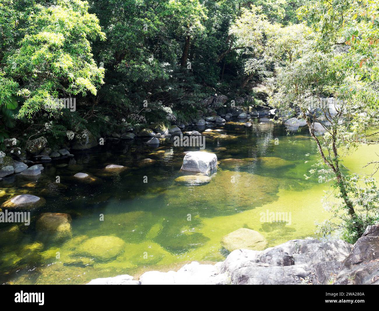 Vista delle acque cristalline in una piscina nella foresta pluviale di Daintree, nel nord del Queensland, Australia Foto Stock