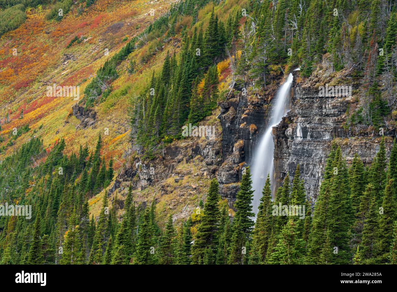 Una cascata di montagna nell'area del Logan Pass del Glacier National Park, Montana, USA. Foto Stock