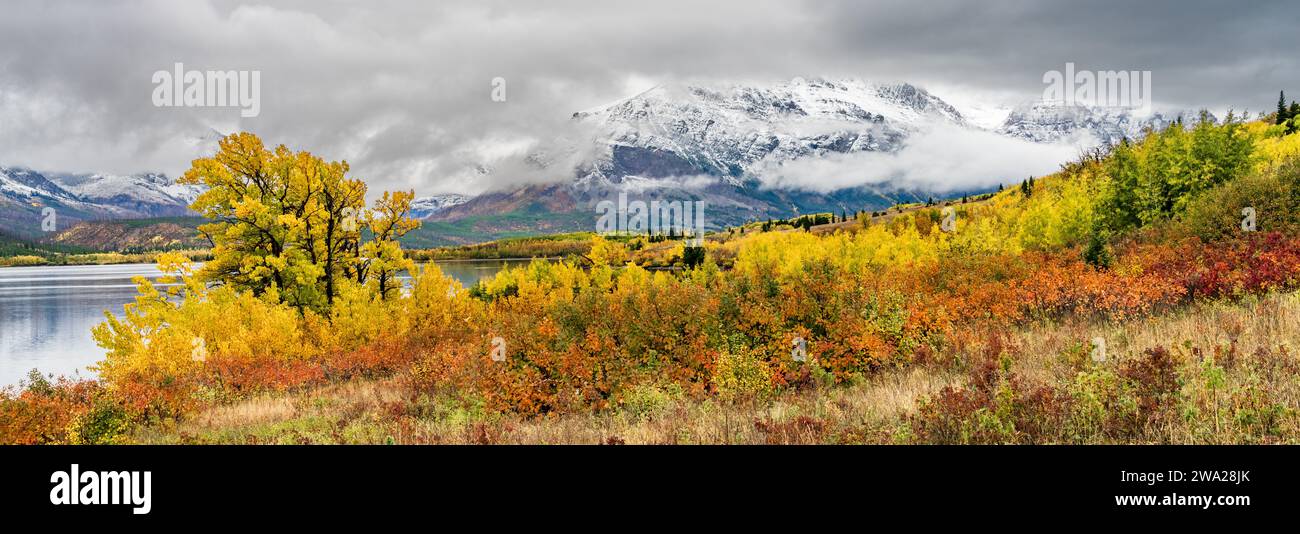 Colore del fogliame autunnale nella St. Ingresso est di Mary del Glacier National Park, Montana, UJSA. Foto Stock