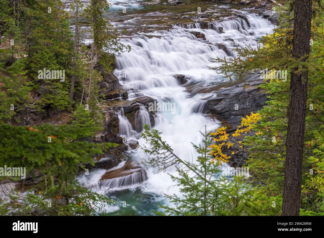 McDonald Falls nel Glacier National Park, Montana, USA. Foto Stock