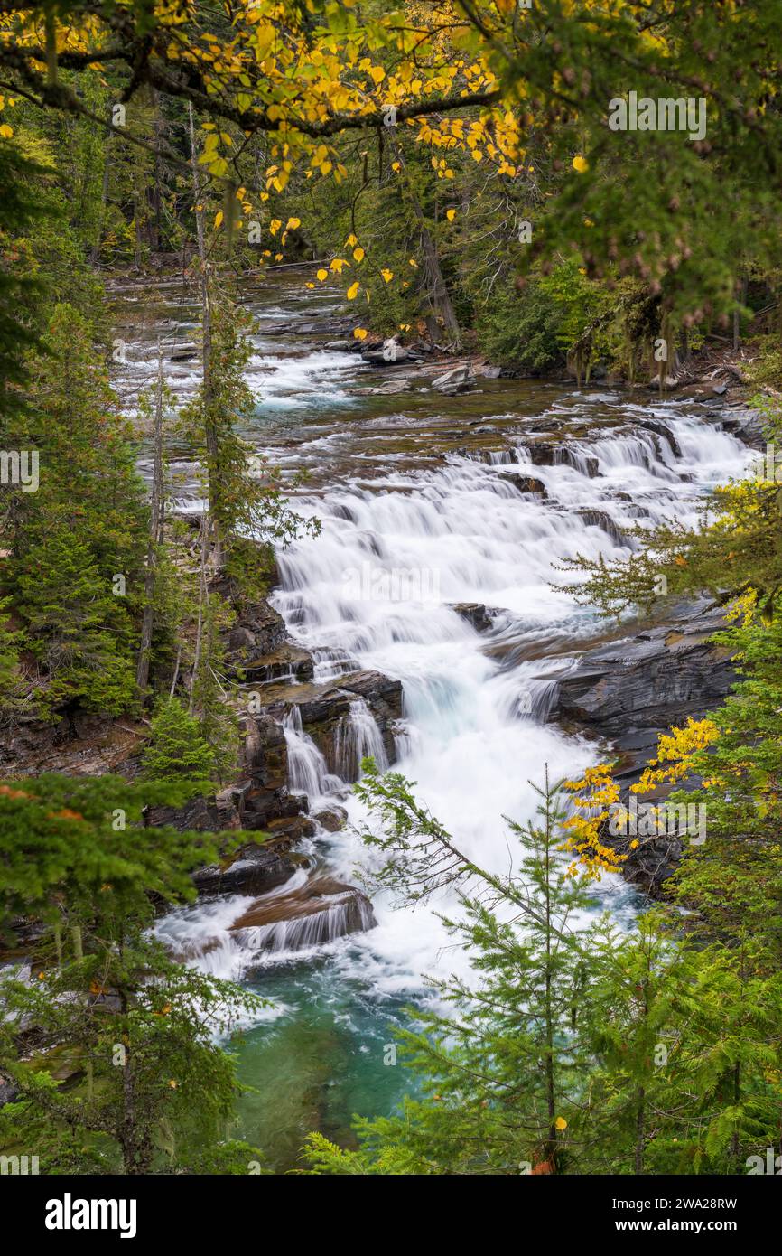 McDonald Falls nel Glacier National Park, Montana, USA. Foto Stock