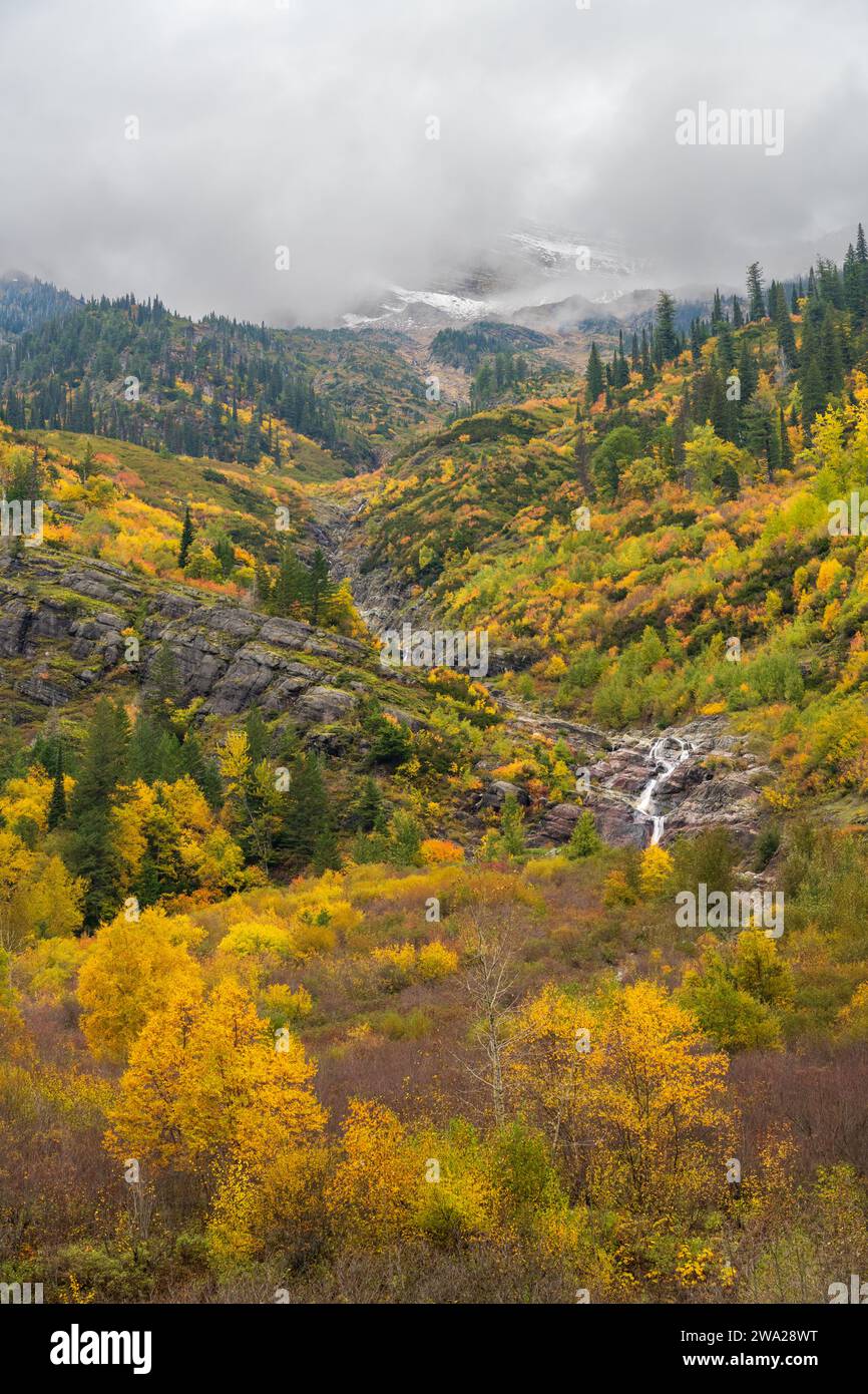 Colori autunnali sulle colline lungo Going to the Sun Road, Glacier National Park, Montana, USA. Foto Stock