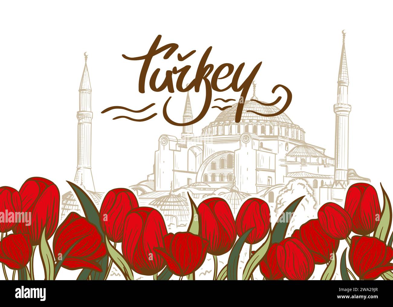 Modello di banner con disegno di Aya Sofya, Moschea di Santa Sofia, Istanbul, Turchia e fiori di tulipani. Design delle attrazioni turistiche turche Illustrazione Vettoriale