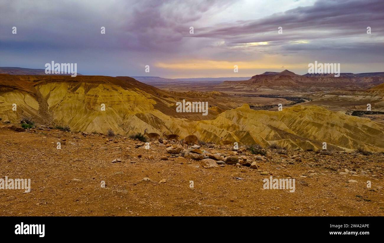 Paesaggio desertico con nuvole invernali Foto Stock