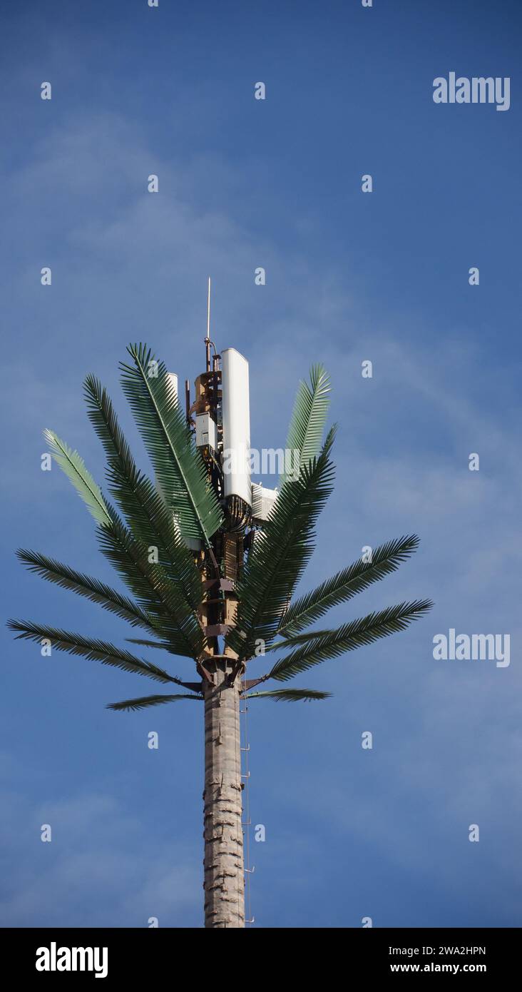 Torre di telecomunicazione mimetica Foto Stock