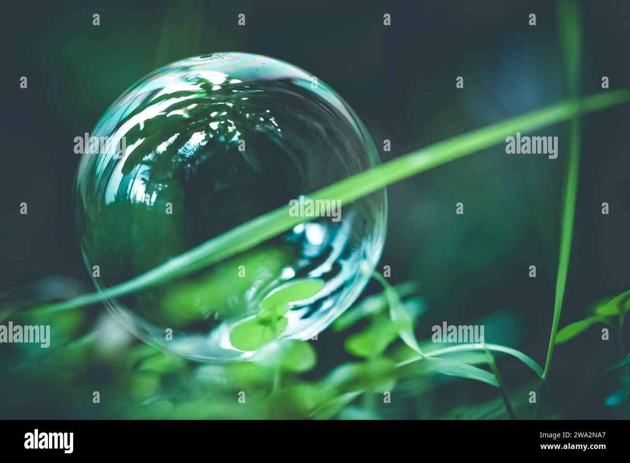 La bolla di sapone brilla sullo sfondo di erba verde e palme. Foto in primo piano. concetto di fragilità Foto Stock