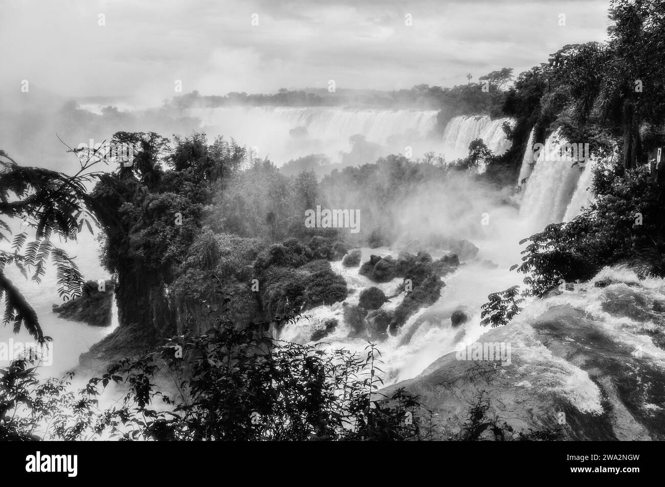 Parco nazionale di Puerto Iguazu Foto Stock