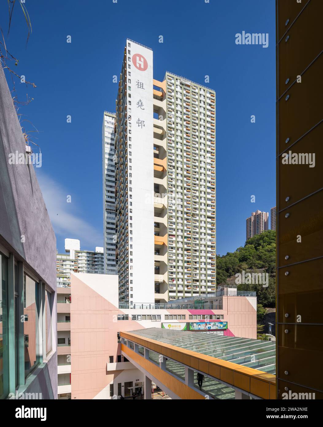 Cho Yiu Chuen Public Housing Estate Hong Kong Tower Apartments concrete Hillside Living Cliff Brutalism Modernism Modernist Foto Stock