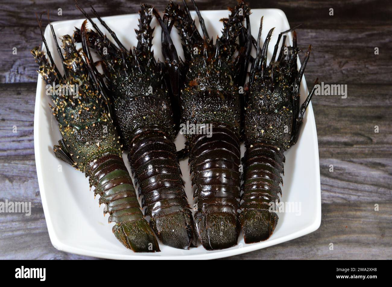 Aragosta fresca cruda, cruda e cruda, le aragoste sono una famiglia di Nephropidae, Homaridae di crostacei marini, con lunghi corpi e code muscolari e vivono in se Foto Stock