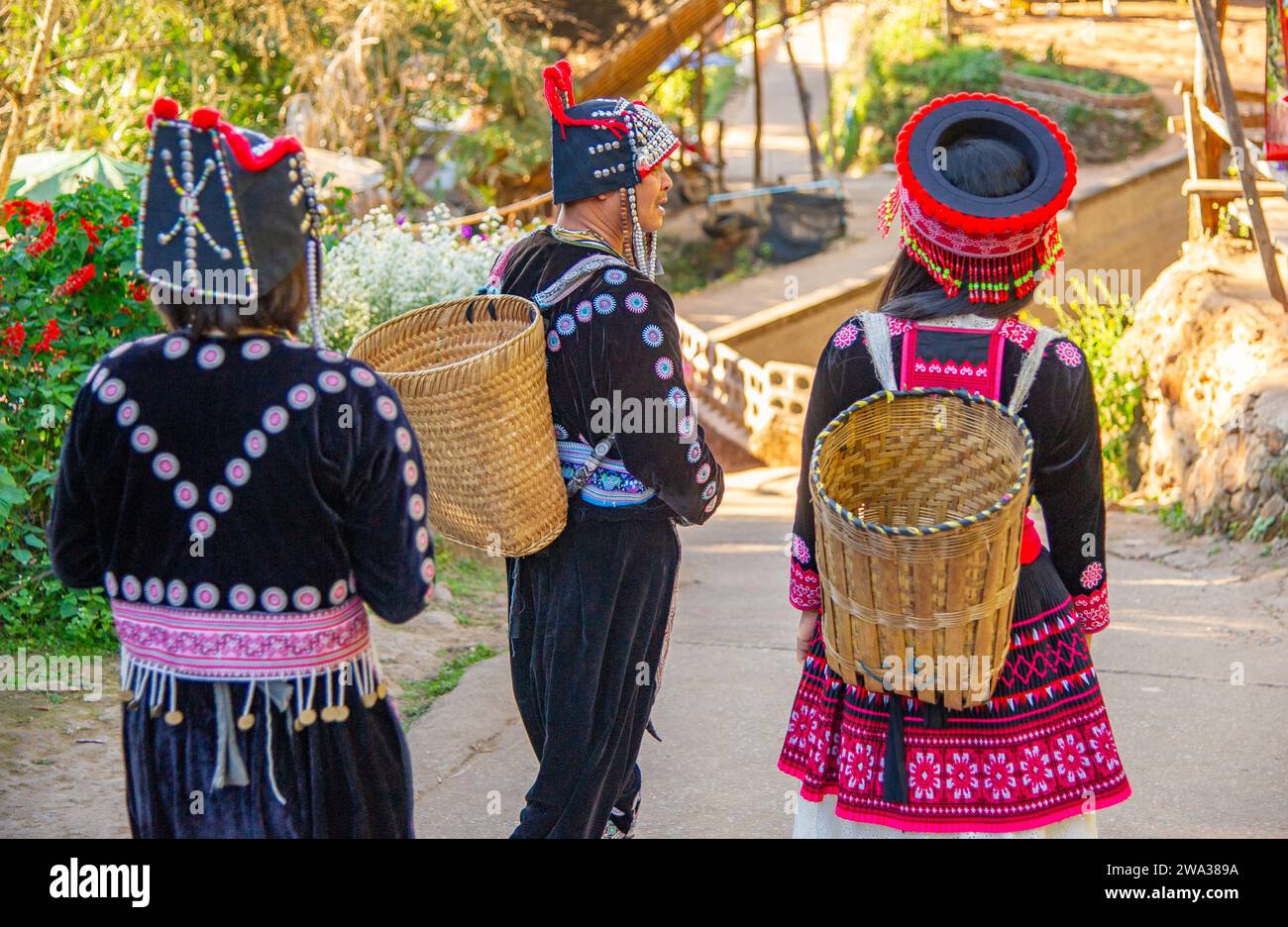 2023 febbraio - Chiang Rai - Tailandia - cuccioli locali con cestini sulla schiena e vestiti con costumi tradizionali vanno a fare shopping. Foto Stock