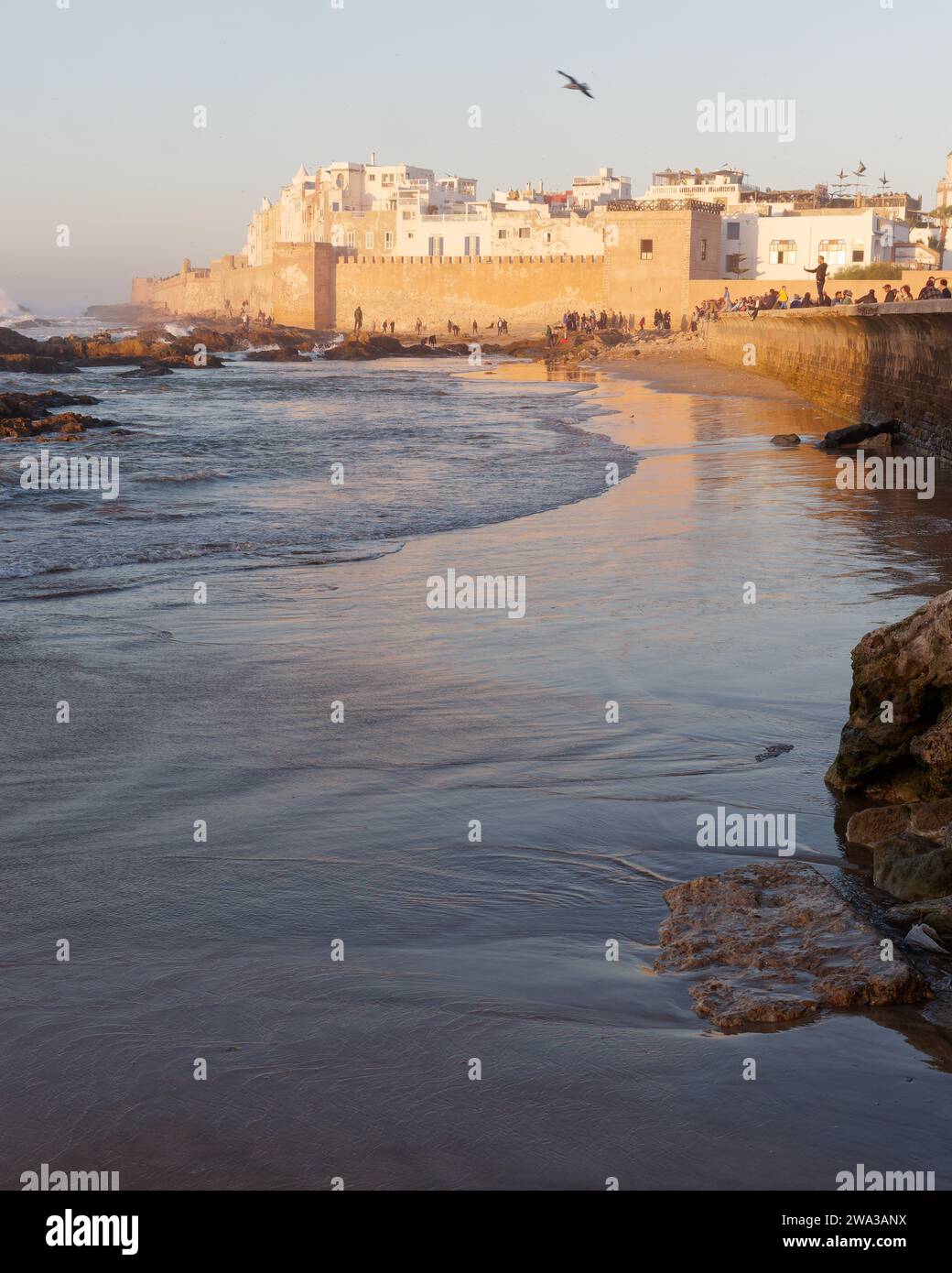 Spiaggia rocciosa con le mura della citta' e la storica medina dietro nella citta' di Essaouira in una serata d'inverno, Marocco, 1 gennaio 2024 Foto Stock