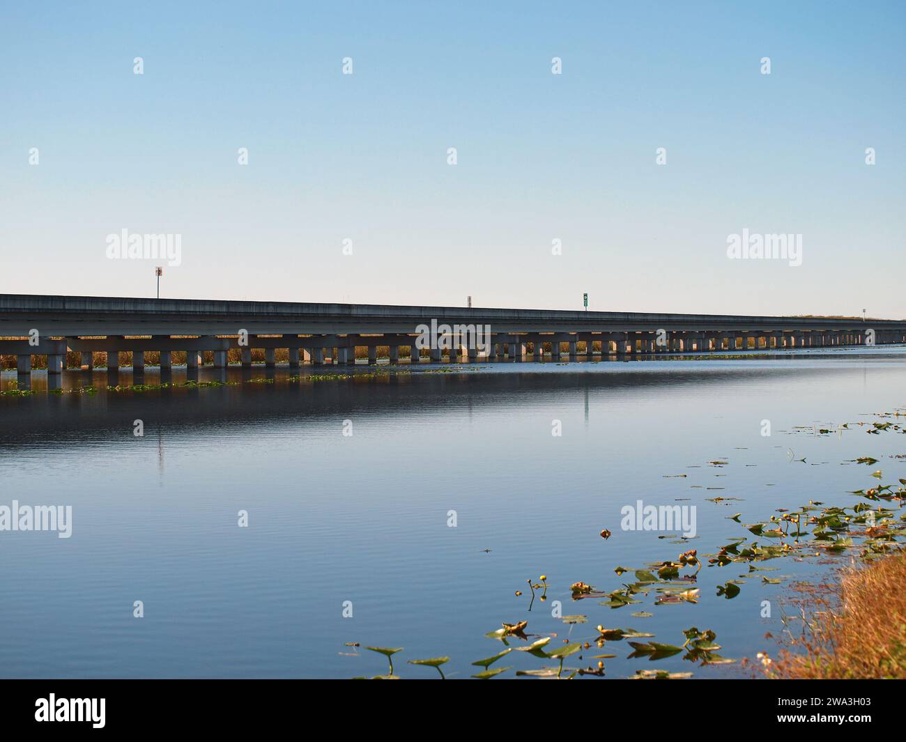 Everglades, Florida, Stati Uniti - 1° gennaio 2024: Ponte costruito nel Tamiami Trail come parte del restauro del flusso d'acqua nelle Everglades. Foto Stock