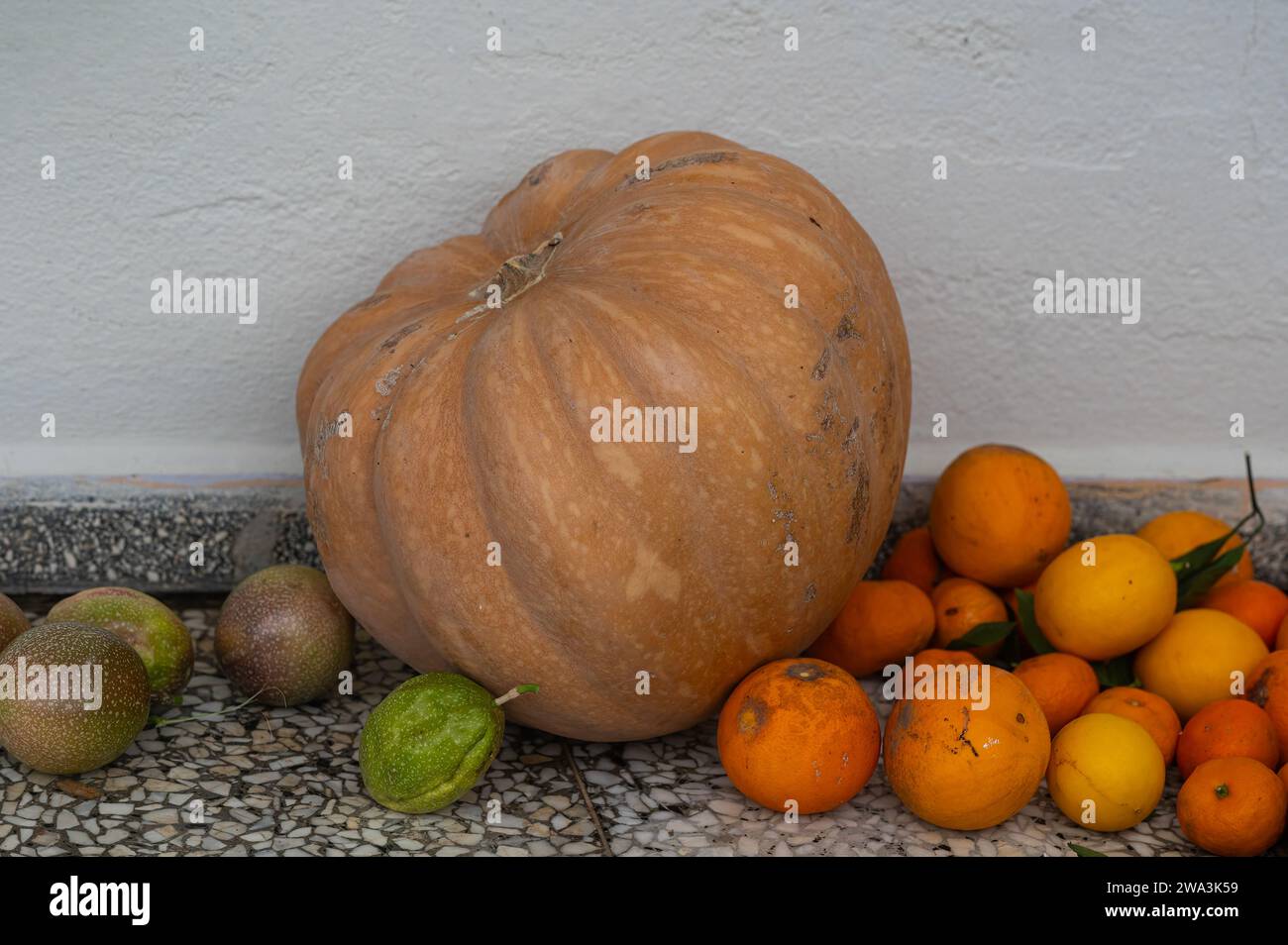 Zucca, passiflora, mandarino, limone e arancia su terreno di cemento. Foto Stock