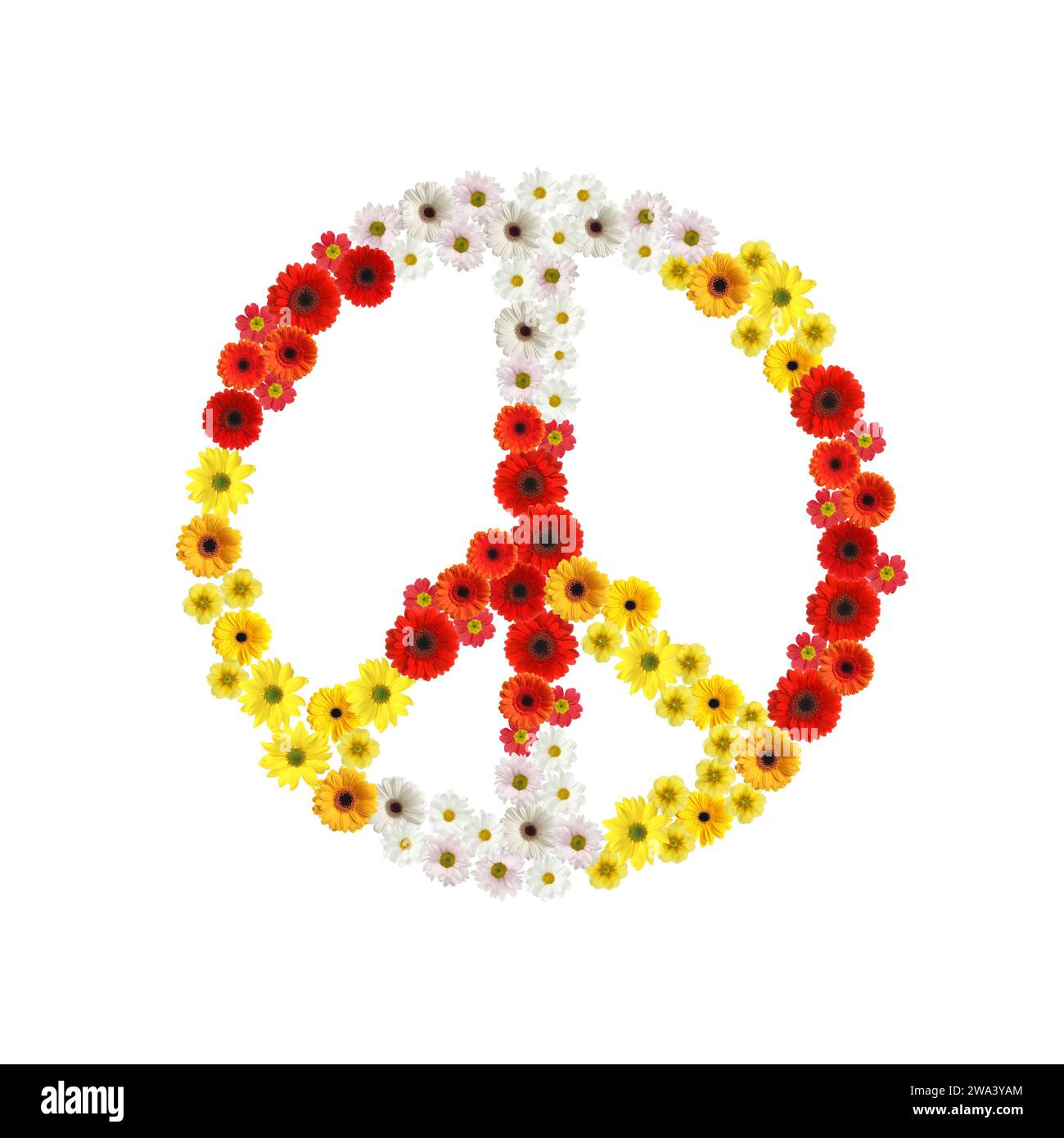 Pace hippie simbolo di splendidi fiori su sfondo bianco Foto Stock