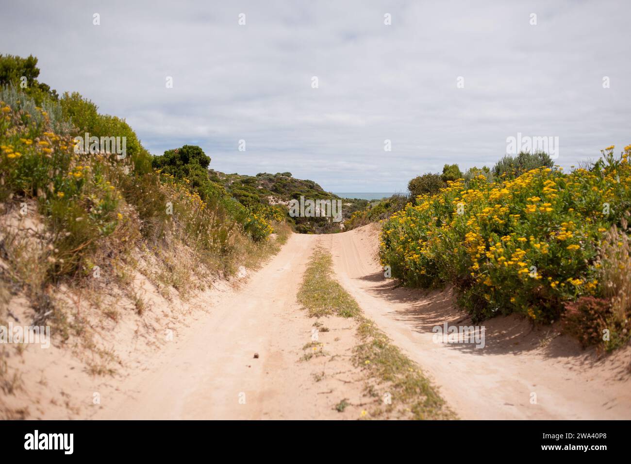 Pista di Stoney RIS, a pochi chilometri da Robe, Australia meridionale. Foto Stock