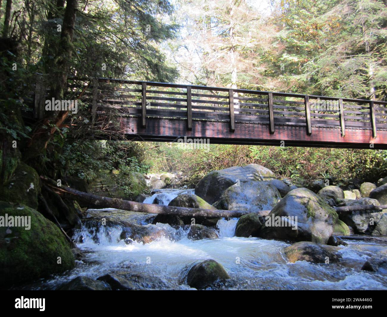 Il ponte pedonale che attraversa il fiume Wallace sul sentiero escursionistico per le cascate di Wallace. The Cascade Mountain's vicino a Gold Bar, Washington USA Foto Stock